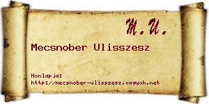 Mecsnober Ulisszesz névjegykártya